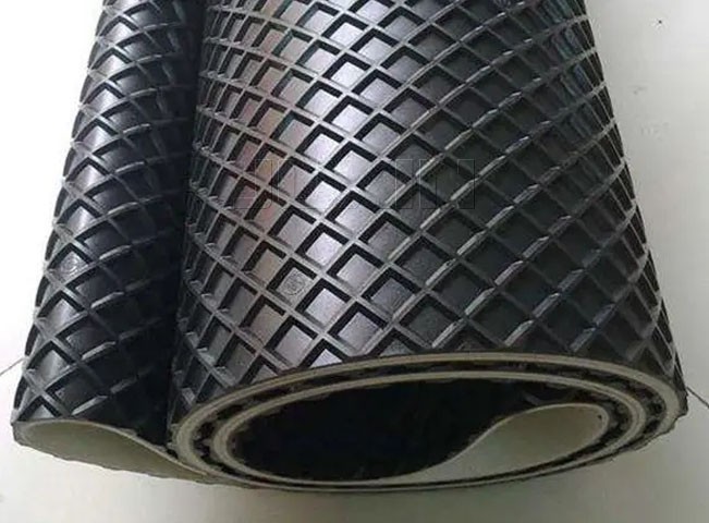 Patterned Conveyor Belt3